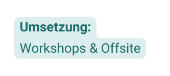 Umsetzung Workshops Offsite