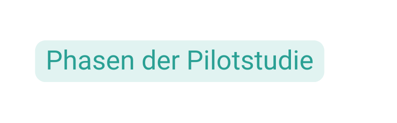 Phasen der Pilotstudie